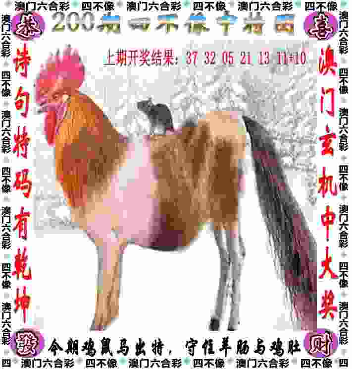 当户外运动事故频发，谁来系牢“安全绳”？